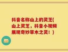 抖音名称山上的灵芝(山上灵芝，抖音小视频展现奇妙草木之灵！)