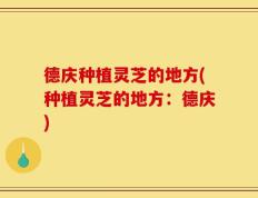 德庆种植灵芝的地方(种植灵芝的地方：德庆)
