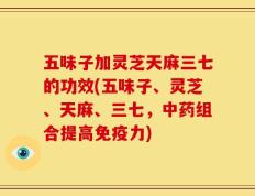 五味子加灵芝天麻三七的功效(五味子、灵芝、天麻、三七，中药组合提高免疫力)