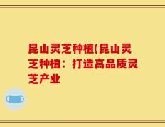 昆山灵芝种植(昆山灵芝种植：打造高品质灵芝产业