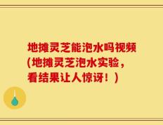 地摊灵芝能泡水吗视频(地摊灵芝泡水实验，看结果让人惊讶！)