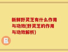 新鲜野灵芝有什么作用与功效(野灵芝的作用与功效解析)