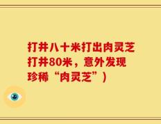 打井八十米打出肉灵芝打井80米，意外发现珍稀“肉灵芝”)