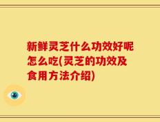 新鲜灵芝什么功效好呢怎么吃(灵芝的功效及食用方法介绍)