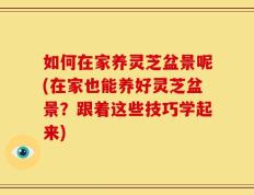如何在家养灵芝盆景呢(在家也能养好灵芝盆景？跟着这些技巧学起来)