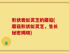 形状类似灵芝的蘑菇(蘑菇形状似灵芝，生长秘密揭晓)