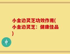 小金边灵芝功效作用(小金边灵芝：健康佳品)