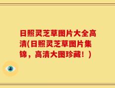 日照灵芝草图片大全高清(日照灵芝草图片集锦，高清大图珍藏！)