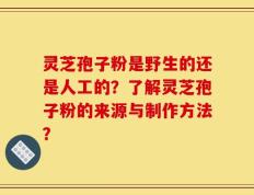 灵芝孢子粉是野生的还是人工的？了解灵芝孢子粉的来源与制作方法？
