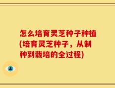 怎么培育灵芝种子种植(培育灵芝种子，从制种到栽培的全过程)