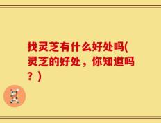 找灵芝有什么好处吗(灵芝的好处，你知道吗？)