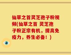 仙草之首灵芝孢子粉视频(仙草之首 灵芝孢子粉正宗有机，提高免疫力，养生必备！)
