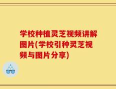 学校种植灵芝视频讲解图片(学校引种灵芝视频与图片分享)