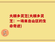大顺乡灵芝(大顺乡灵芝：一场来自山区的生命奇迹)