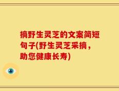 摘野生灵芝的文案简短句子(野生灵芝采摘，助您健康长寿)