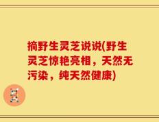摘野生灵芝说说(野生灵芝惊艳亮相，天然无污染，纯天然健康)