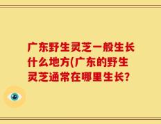 广东野生灵芝一般生长什么地方(广东的野生灵芝通常在哪里生长？