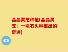 晶晶灵芝种植(晶晶灵芝：一块石头种植出的奇迹)