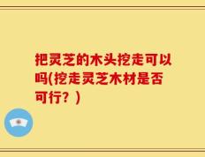 把灵芝的木头挖走可以吗(挖走灵芝木材是否可行？)