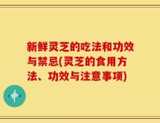新鲜灵芝的吃法和功效与禁忌(灵芝的食用方法、功效与注意事项)