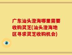 广东汕头澄海哪里需要收购灵芝(汕头澄海地区寻求灵芝收购机会)