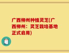 广西柳州种植灵芝(广西柳州：灵芝栽培基地正式启用)