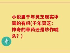 小说里千年灵芝现实中真的有吗(千年灵芝：神奇的草药还是炒作噱头？)
