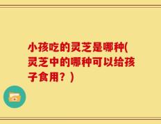 小孩吃的灵芝是哪种(灵芝中的哪种可以给孩子食用？)