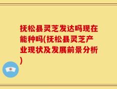 抚松县灵芝发达吗现在能种吗(抚松县灵芝产业现状及发展前景分析)