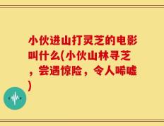 小伙进山打灵芝的电影叫什么(小伙山林寻芝，尝遇惊险，令人唏嘘)