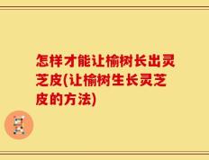 怎样才能让榆树长出灵芝皮(让榆树生长灵芝皮的方法)