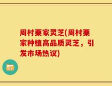 周村栗家灵芝(周村栗家种植高品质灵芝，引发市场热议)
