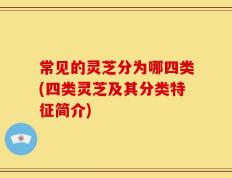 常见的灵芝分为哪四类(四类灵芝及其分类特征简介)
