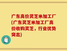 广东高价灵芝米加工厂(广东灵芝米加工厂高价收购灵芝，行业优势突出)