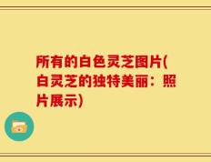 所有的白色灵芝图片(白灵芝的独特美丽：照片展示)
