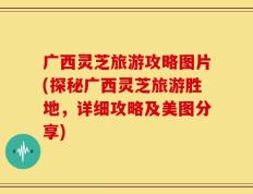 广西灵芝旅游攻略图片(探秘广西灵芝旅游胜地，详细攻略及美图分享)