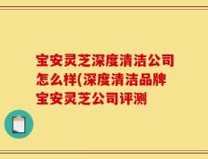 宝安灵芝深度清洁公司怎么样(深度清洁品牌宝安灵芝公司评测