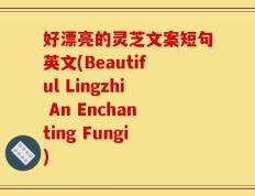 好漂亮的灵芝文案短句英文(Beautiful Lingzhi An Enchanting Fungi)