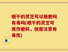 晒干的灵芝可以施肥吗有毒吗(晒干的灵芝可用作肥料，但需注意有毒性)