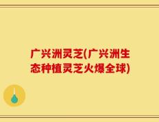 广兴洲灵芝(广兴洲生态种植灵芝火爆全球)