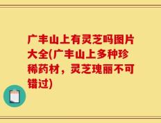 广丰山上有灵芝吗图片大全(广丰山上多种珍稀药材，灵芝瑰丽不可错过)