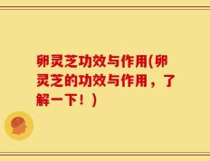 卵灵芝功效与作用(卵灵芝的功效与作用，了解一下！)