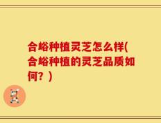 合峪种植灵芝怎么样(合峪种植的灵芝品质如何？)