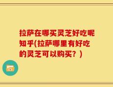 拉萨在哪买灵芝好吃呢知乎(拉萨哪里有好吃的灵芝可以购买？)