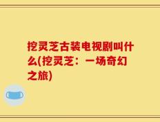 挖灵芝古装电视剧叫什么(挖灵芝：一场奇幻之旅)