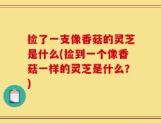 捡了一支像香菇的灵芝是什么(捡到一个像香菇一样的灵芝是什么？)