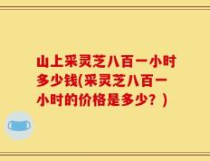 山上采灵芝八百一小时多少钱(采灵芝八百一小时的价格是多少？)