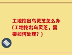 工地挖出乌灵芝怎么办(工地挖出乌灵芝，需要如何处理？)