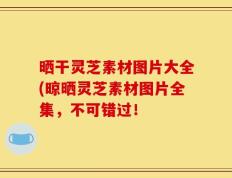 晒干灵芝素材图片大全(晾晒灵芝素材图片全集，不可错过！