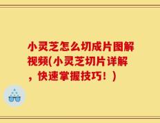小灵芝怎么切成片图解视频(小灵芝切片详解，快速掌握技巧！)